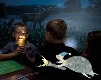 NiM - Nachts im Müritzeum