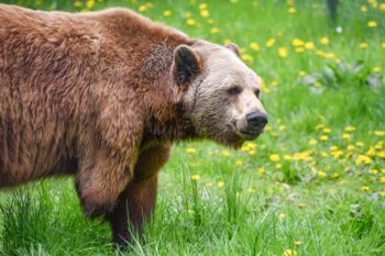 Sat1-Sendung "Grenzenlos - die Welt entdecken"