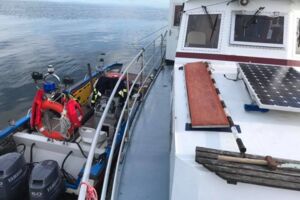 Feuerwehr und Wasserwacht im Einsatz