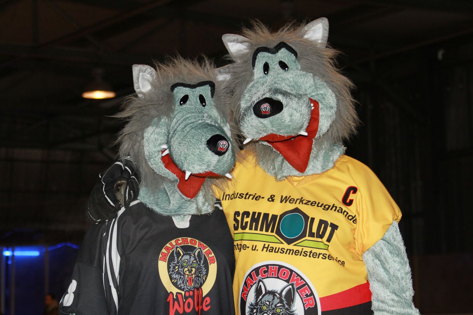 Eishockey-Ostseeliga