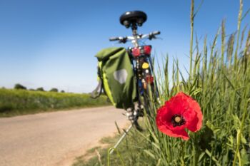 Radwegenetzt Waren (Müritz)