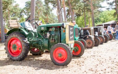 Veranstaltungen Alt Schwerin