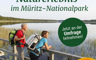 Tourismusverband Mecklenburg-Vorpommern