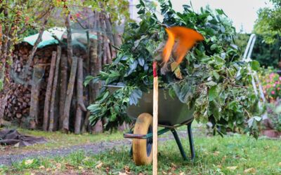 Wertstoffhof Waren (Müritz) Öffnungszeiten