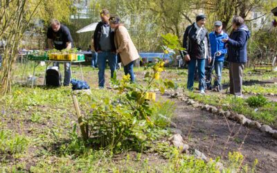 Warener Wildpflanzengarten Herrenseebrücke