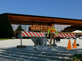 Welterbe-Buchen kommen als neue Dauerausstellung nach Waren (Müritz)