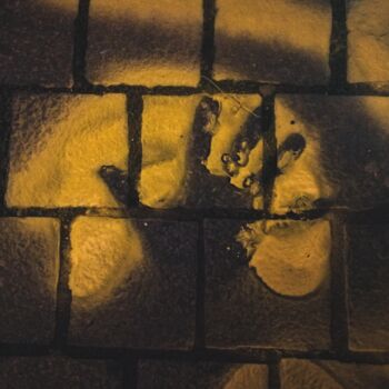 Choreographin Elisabeth Schilling