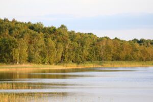 geführte Wanderungen mit dem Ranger