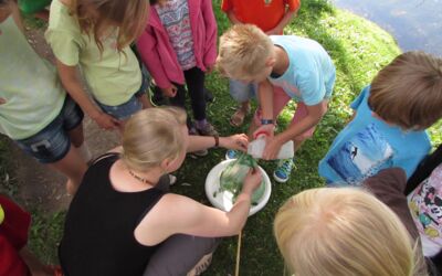 Veranstaltungen Waren (Müritz)