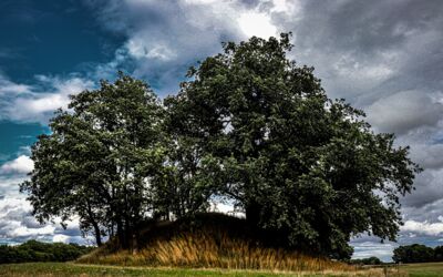 Ausstellung Sagenhafte Orte im Müritzkreis Ankershagen