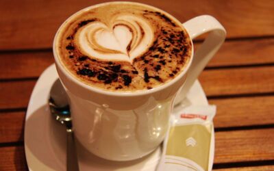 Künstler Mecklenburgische Seenplatte