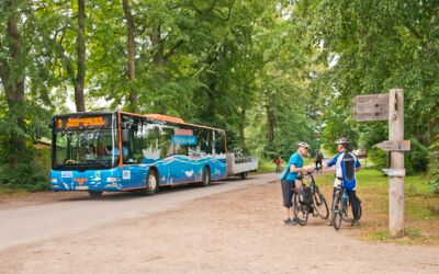 kostenfreier Linienbus Müritz