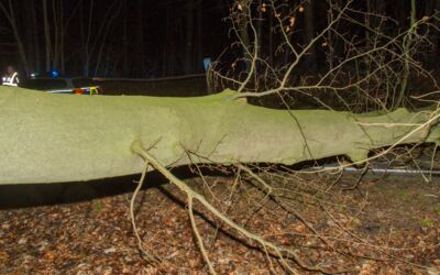 Einsatz Feuerwehr Kargow