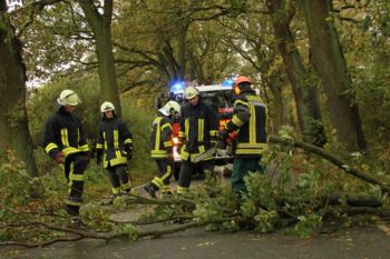 AIRCIS (Artificial Intelligence in Rescue Chains)