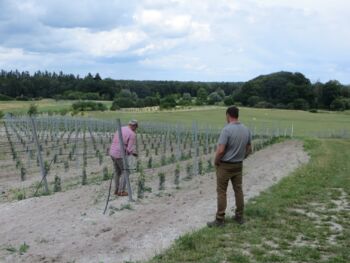 Weinanbaugebiet Champagne Göhren-Lebbin