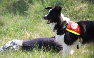 Hundesportverein Güstrow