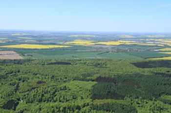 Willy-Cup Naturschutzprojekt