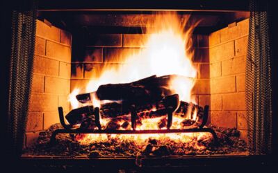 Müritzregion: 1.500 Euro im Ofen verbrannt