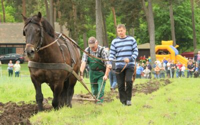Kaltbluttreffen in Alt Schwerin Agroneum