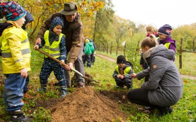 Baum des Jahres gepflanzt