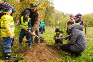 Baum des Jahres gepflanzt