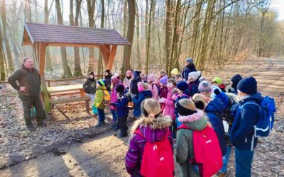 CDU Röbel/Müritz Nistkästen