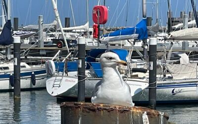 Binnenschifffahrt in Mecklenburg-Vorpommern