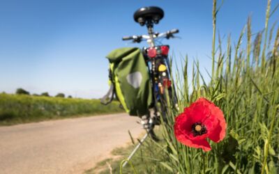 Radwegenetzt Waren (Müritz)