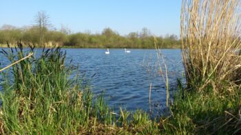 Naturpark Mecklenburg-Vor­pommern