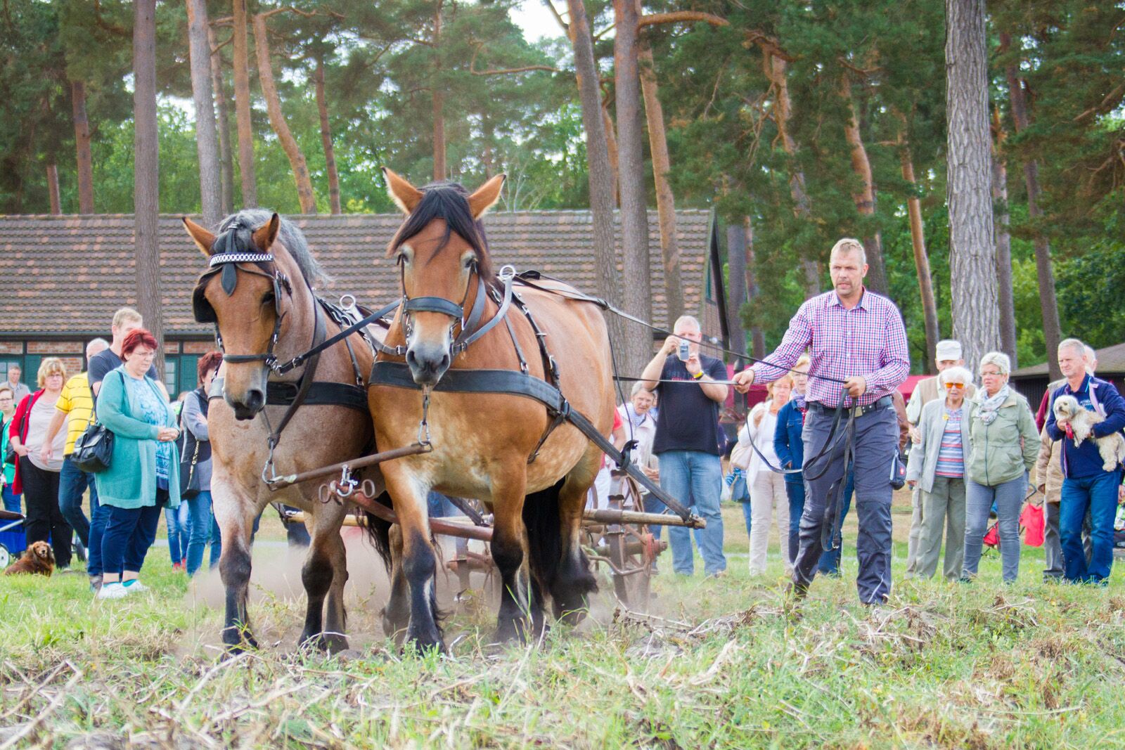 Veranstaltungen Alt Schwerin