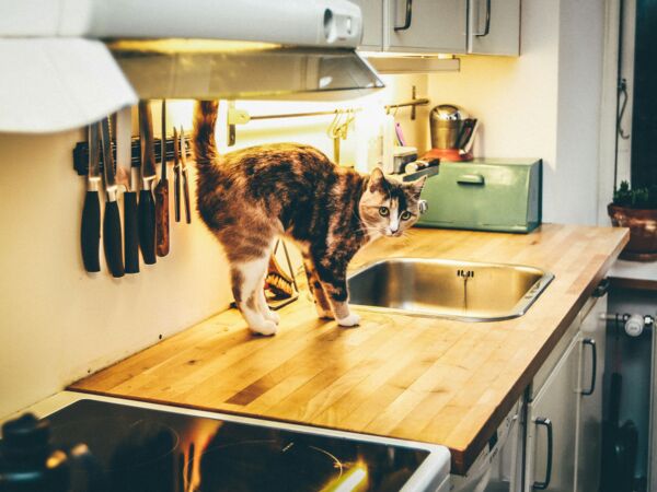 Kalkablagerungen Küche