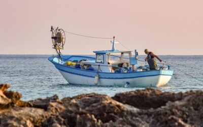 Dorsch- und Herings­fischerei in der westlichen Ostsee