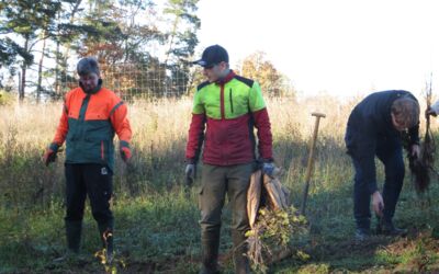 Pflanzaktion im Klimawald Malchow