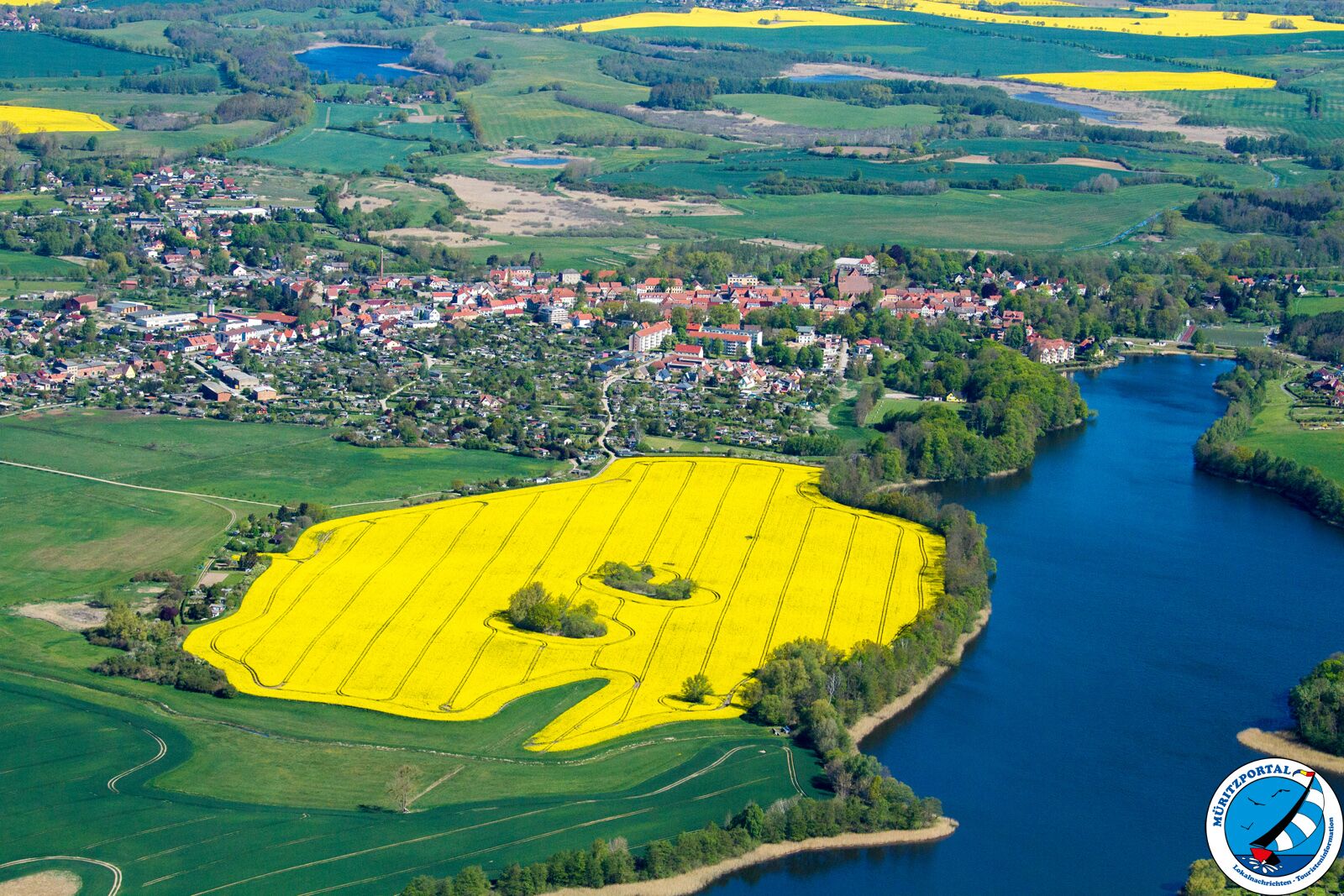Luftbild Raps Mecklenburg