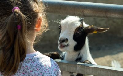 Zoo-Besuch Mecklenburg-Vorpommern