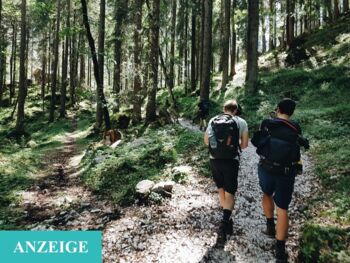 Zwei Wanderer mit Rucksäcken, die im Sommer auf einem malerischen Waldweg spazieren gehen.