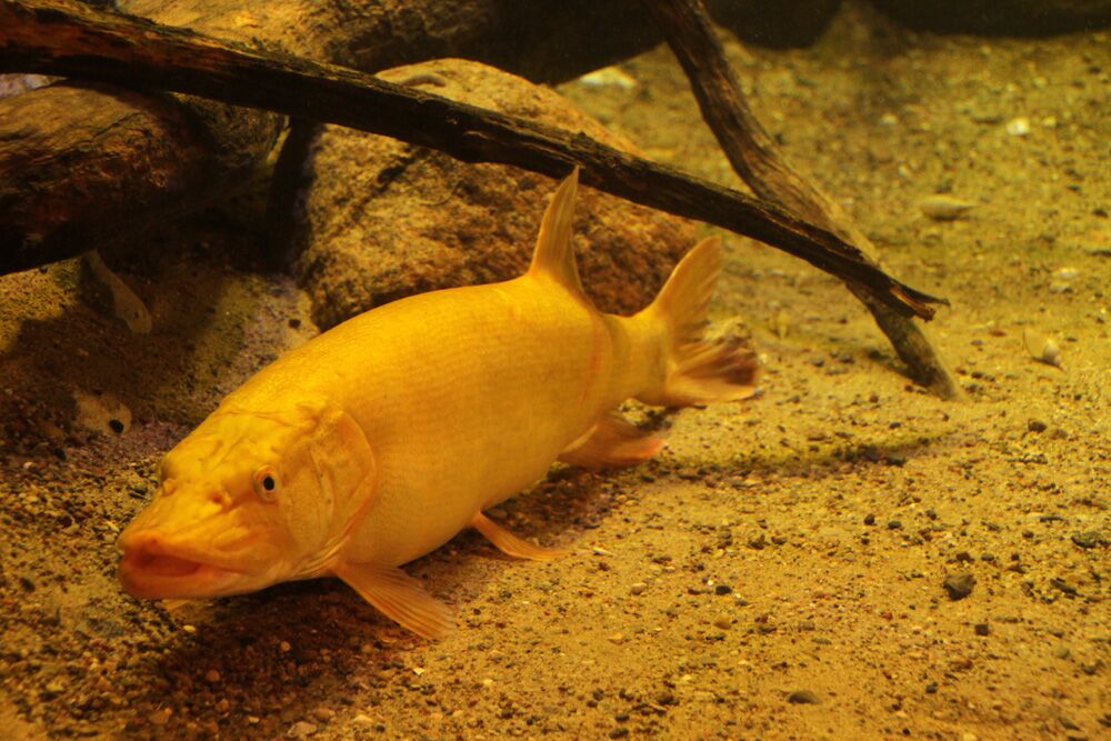 Veranstaltungen Waren (Müritz)