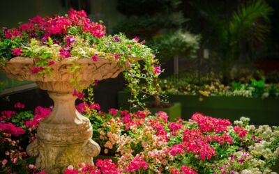 Offene Gärten in MV / Müritzregion