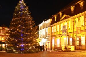 Weihnachtsbaum für Waren (Müritz)