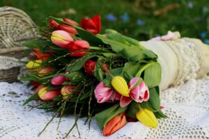 Müritzer Handballer des HSV 90 Waren