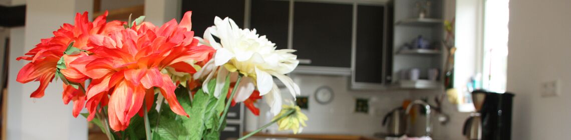 Einrichtung Ferienhaus Fleesensee