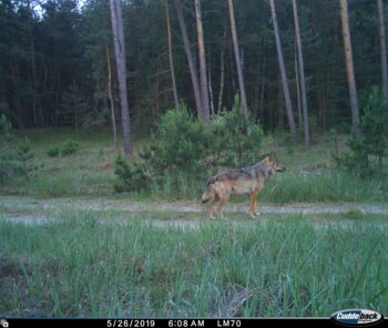 Veranstaltung "Mittwochs im Müritzeum"