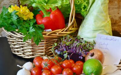 „MaMüMaMa“ Verkaufsmobil & Foodtruck