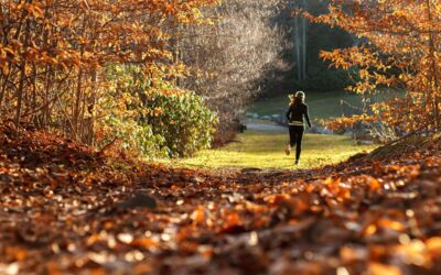 Laufveranstaltung Mecklenburgische Seenplatte