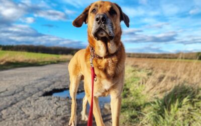 Margret Kuhlmann Malchow