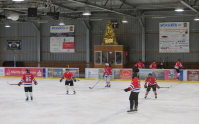 Eishockeyteam Flamingos Wolfsburg