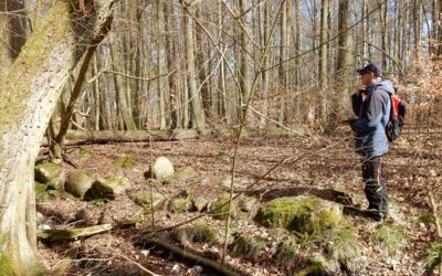 Veranstaltung Müritzeum