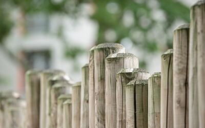 Schlichtungsstelle Mecklenburg-Vorpommern