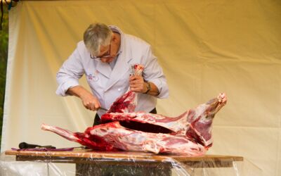 Wild aus Mecklenburg-Vorpommern