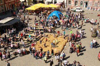 Veranstaltungen in Waren (Müritz) Innenstadt